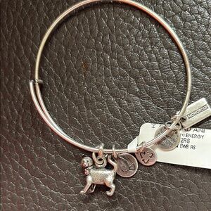 Alex and ani cat monopoly piece washed silver Charm Bracelet